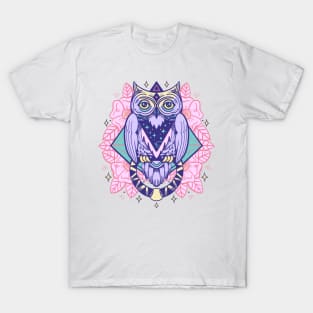 Owl door knocker T-Shirt